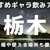 栃木でおすすめのギャラ飲みアプリを紹介！料金相場や使える場所なども徹底解説します 