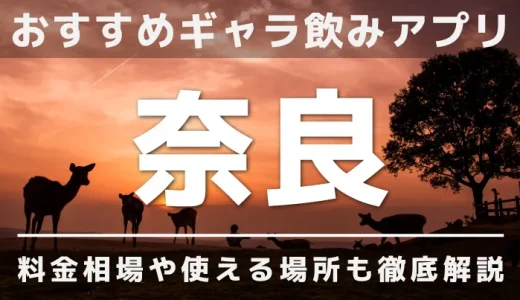 奈良のギャラ飲みを紹介！料金相場や使える場所なども徹底解説します