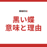 黒い蝶は亡くなった人の象徴？スピリチュアル的な意味とその理由