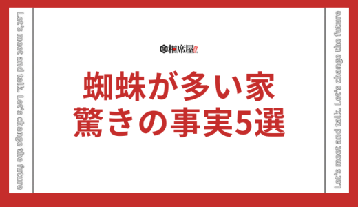 蜘蛛が多い家のスピリチュアルなメッセージとは？驚きの事実5選