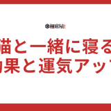 【猫と一緒に寝る】スピリチュアルな効果と運気アップの秘密