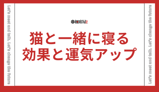 【猫と一緒に寝る】スピリチュアルな効果と運気アップの秘密