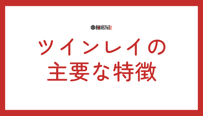 ツインレイの主要な特徴